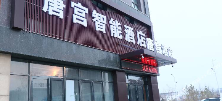 唐宫酒店(灵武宁东店)图片