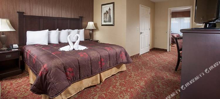 阿纳海姆城堡套房酒店(Castle Inn and Suites Anaheim)图片