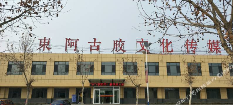 东阿古胶文化传媒酒店图片