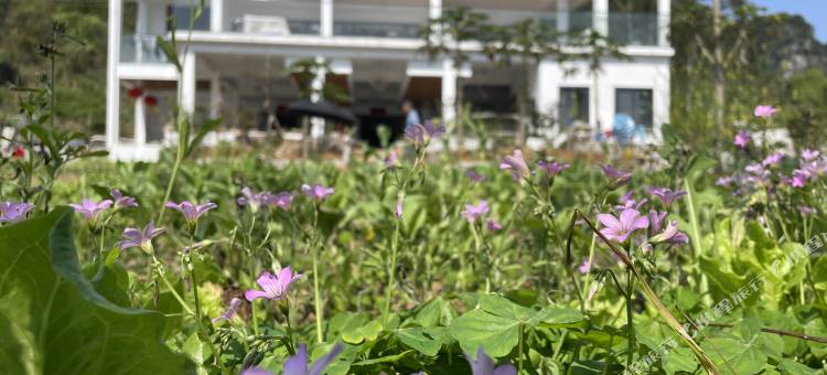大新硕龙半山别墅图片