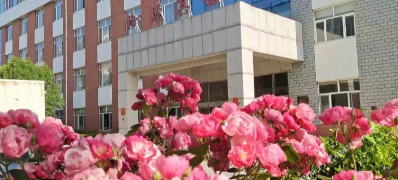 武城玲珑宾馆(振华街店)图片