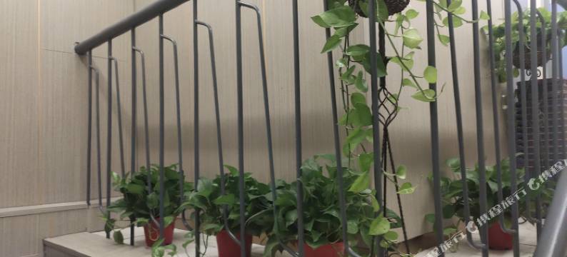 小有天精品宾馆图片