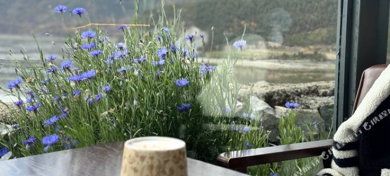 木兰遇·花园里舍｜物与染·日照金山图片