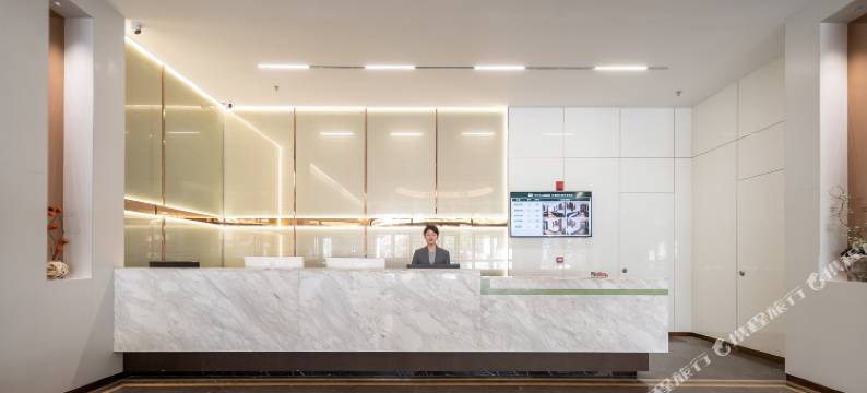 TOWO｜Topping Hotel上品酒店(西安大雁塔大唐不夜城店)图片