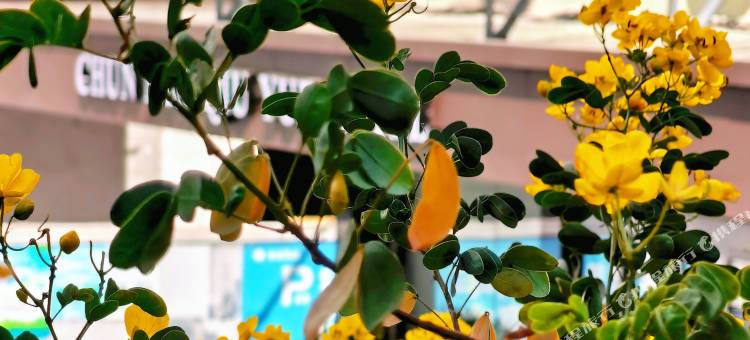 春华秋月酒店(鄂州南浦路银泰店)图片