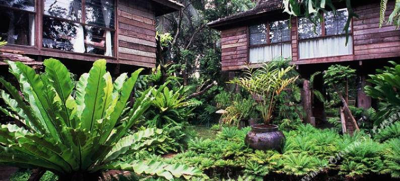 菲姆天堂酒店(Fern Paradise)图片