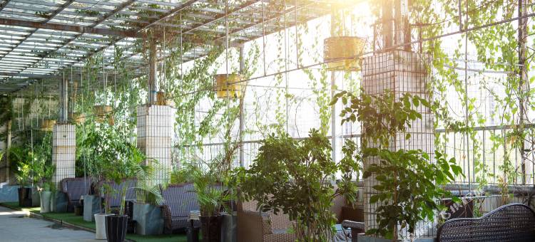 攀枝花晨西酒店图片