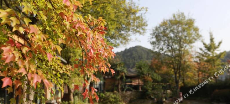 云起琚·莫干山民宿(萤火虫基地店)图片