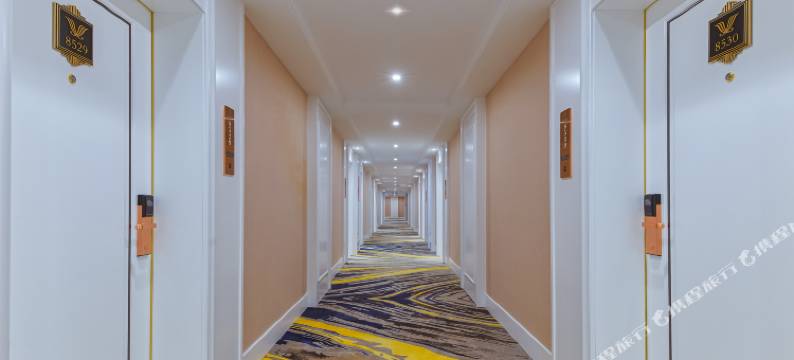 维也纳国际酒店(天津滨海新区生态城北塘古镇店)图片