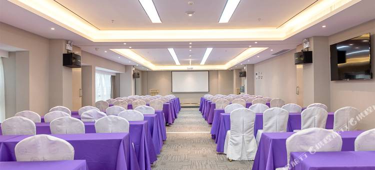 麗枫酒店(佛山千灯湖平洲玉器街店)图片