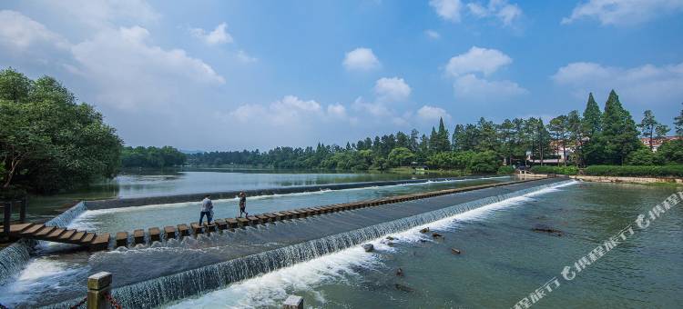 安吉绿竹桃园民宿(竹博园店)图片