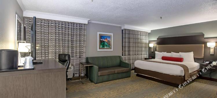 贝斯特韦斯特奥黑尔酒店(Best Western at O'Hare)图片