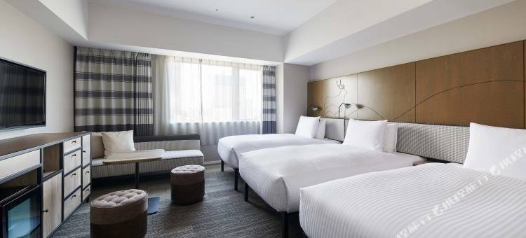 札幌格兰贝尔狸小路酒店(Granbell hotel Tanuki Sapporo)图片