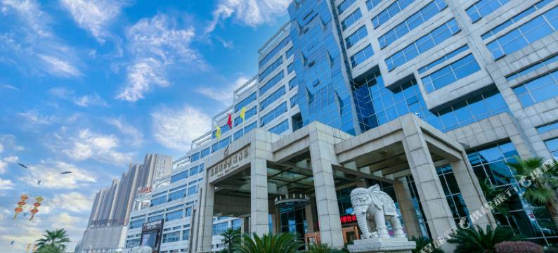 彭泽龙腾国际假日酒店(联盛快乐城县政府店)图片