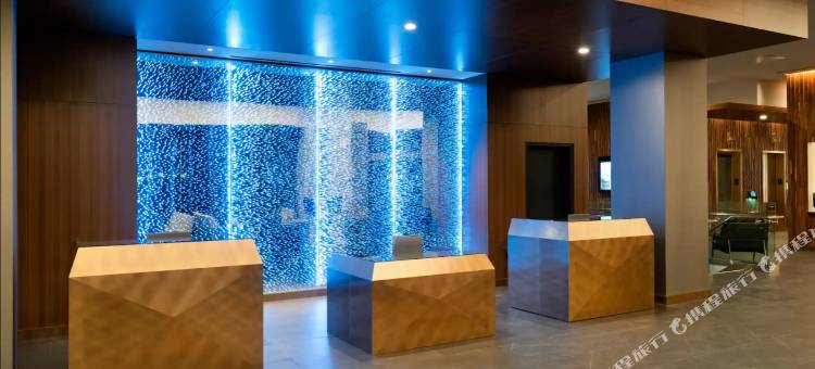 洛杉矶国际机场/世纪大道凯悦嘉寓酒店(Hyatt House LAX Century Blvd)图片