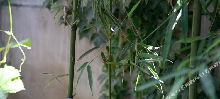 花筑·游途小巷套房民宿(华山景区游客中心店)图片