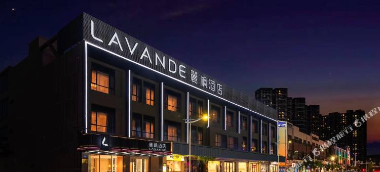 麗枫酒店(东莞东城33小镇店)图片