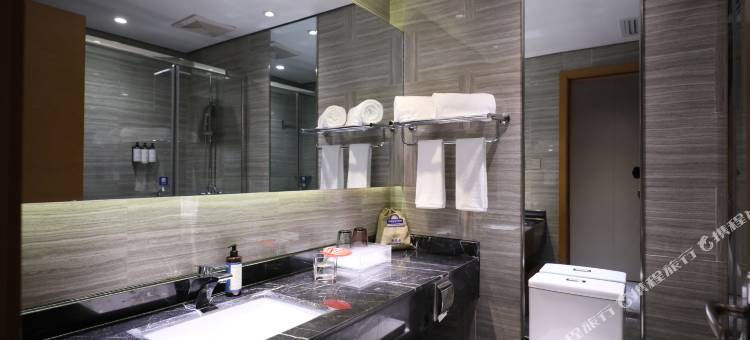 西安瑞骊戴斯精选温德姆酒店图片