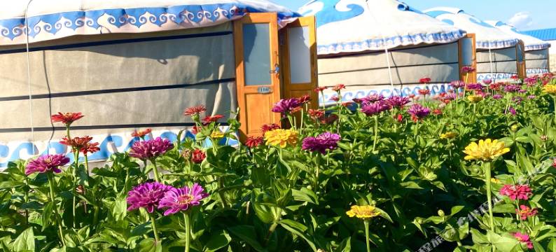 黑山头金色牧场民宿图片