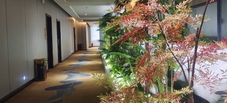 星宇国际酒店(荆州万达店)图片