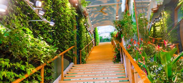 Sky Garden Homestay图片