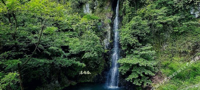 安吉·朗月行野奢民宿(浮憩谷店)图片