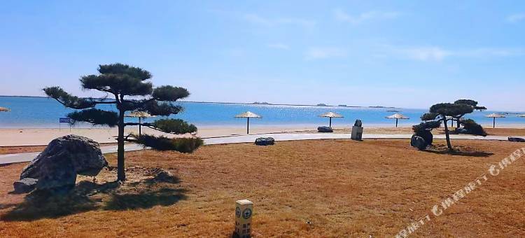 乐亭智博海景公寓(唐山湾沙滩店)图片