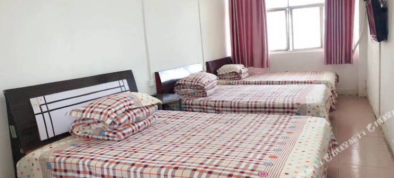 郑州金花苑宾馆(黄河路地铁站店)图片