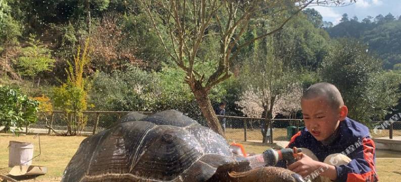 龟谷隐宿度假别墅(个元公路店)图片