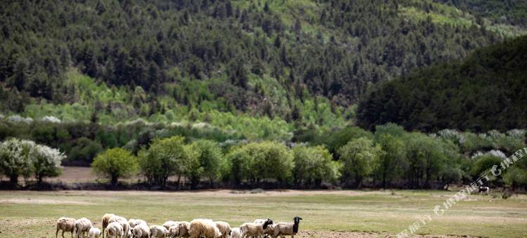迪庆月光城英迪格酒店图片