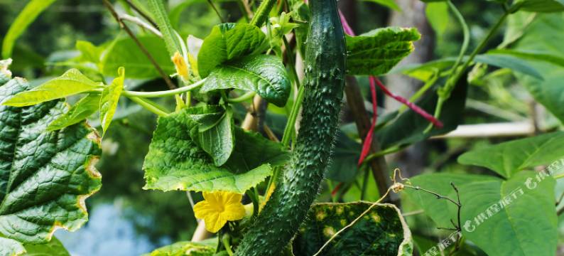 衡阳南岳半山腰永红民宿图片