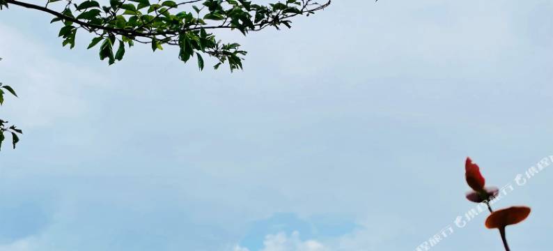 伊豆之海酒店(Izu-No-Umi　Hostel)图片