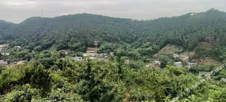 成都梨花金顶清霞生态园图片