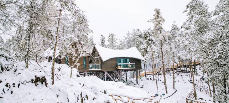 酉阳桃花源森林酒店图片