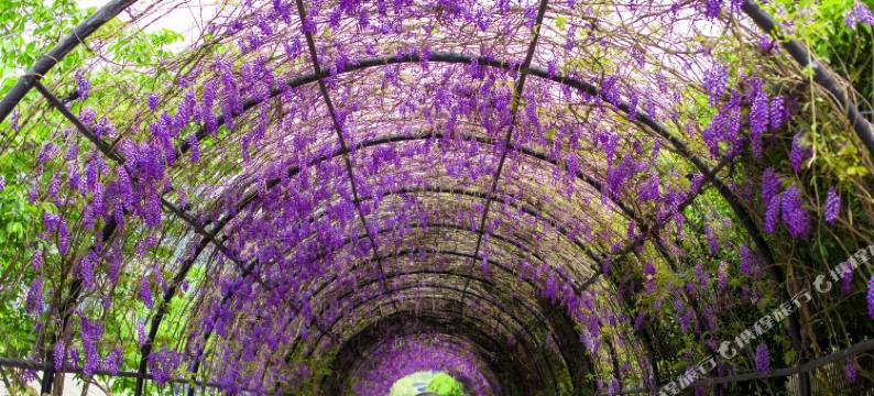 凯里云溪汤泉度假酒店图片