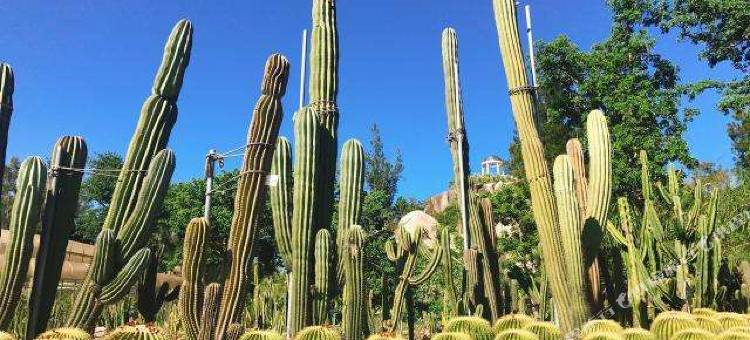 如家商旅酒店(厦门中山路步行街店)图片