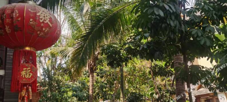 西双版纳景洪青橄榄客栈(告庄西双景星光夜市店)图片