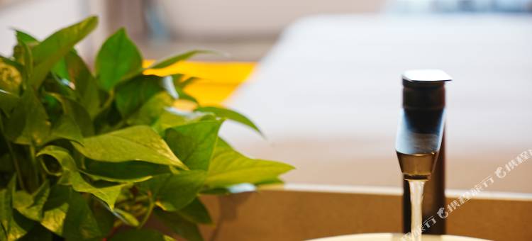 衔月度假酒店(泾县皖南川藏线店)图片