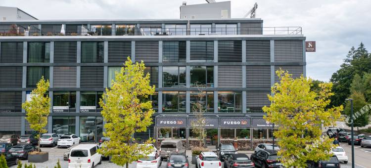定制酒店-SIHLPARK-辛德莱吉(Tailormade Hotel SIHLPARK Schindellegi)图片