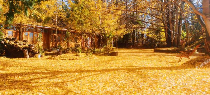 腾冲丽婷农家乐图片