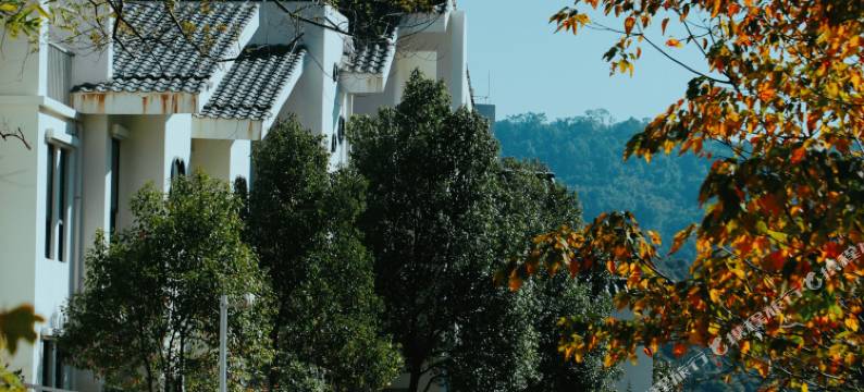广州世间香境七溪地椿香舍民宿图片