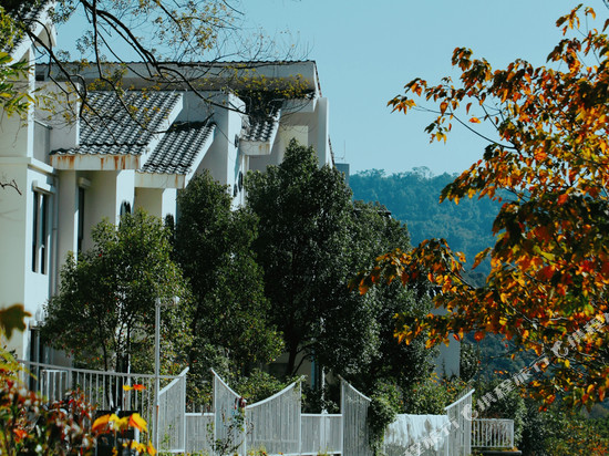 广州世间香境七溪地椿香舍民宿