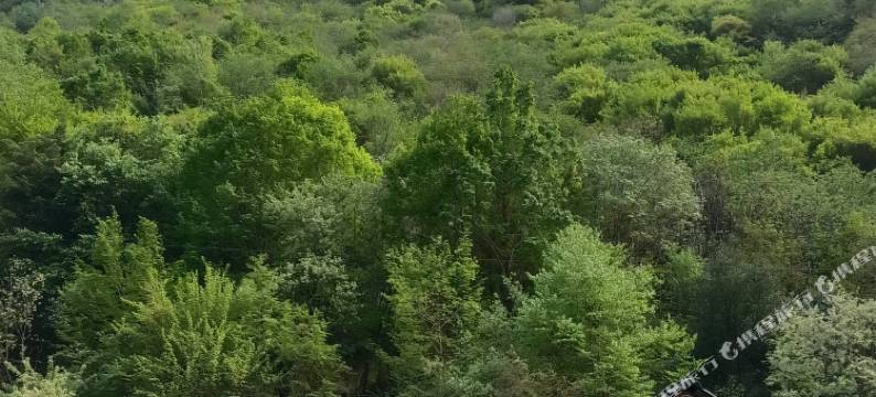 理县毕棚沟枫林山水山庄图片