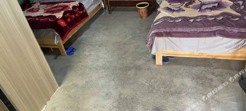 普兰东北青年旅馆图片