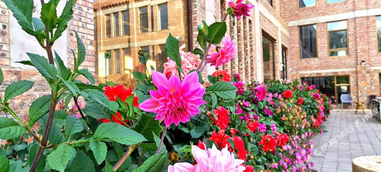 丰宁欣龙门假日酒店图片