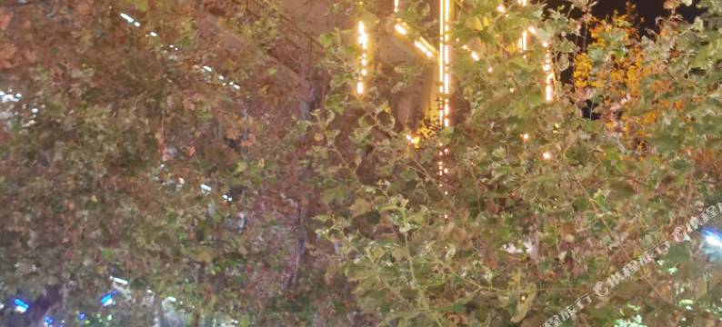 保山四海宾馆图片