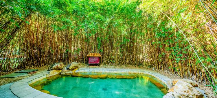 清远佛冈森波拉松鼠酒店图片