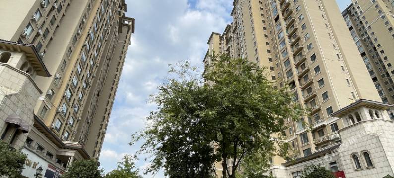 洛阳有间客栈图片