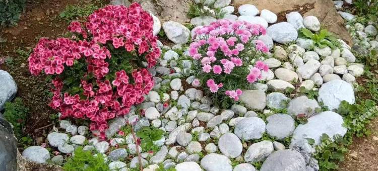 广南院客栈(玉龙雪山别院)图片