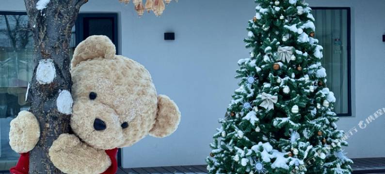 一个小院·望民宿图片